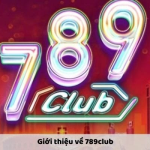 Các Hướng Dẫn Sử Dụng Các Công Cụ, Tiện Ích Trên 789club