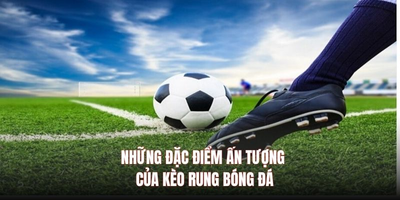 Các yếu tố cần chú ý để chơi kèo rung thành công trong 789club